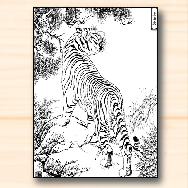 Tiger Line Drawing Manuscript Chinese Traditional Paintings Meticulous  Painting Line Draft Copy Animal Line Draft Practice
